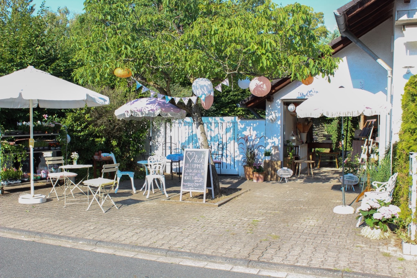 Zimmerpflanzen und Geschenkartikel im Regal